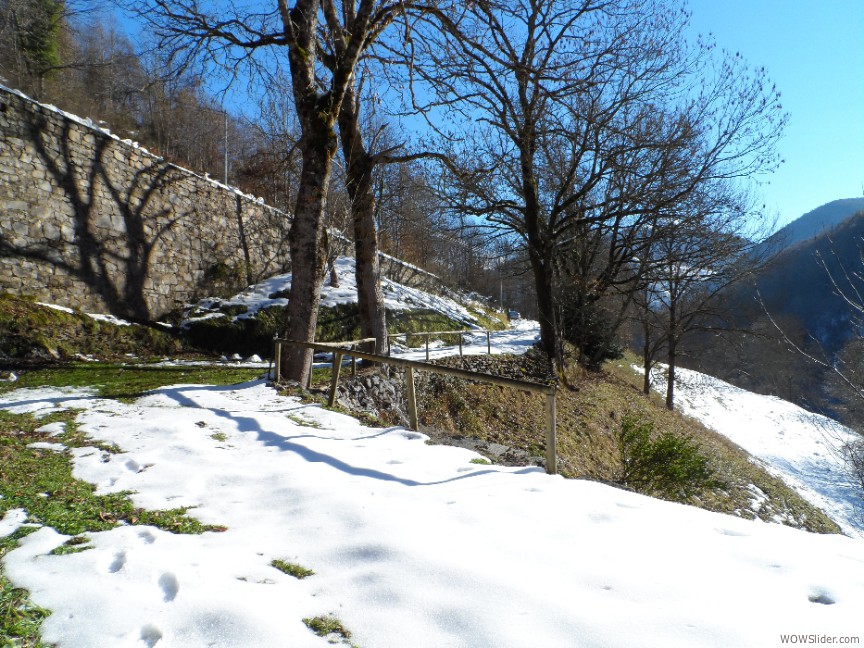 Chemin privé (Hiver)