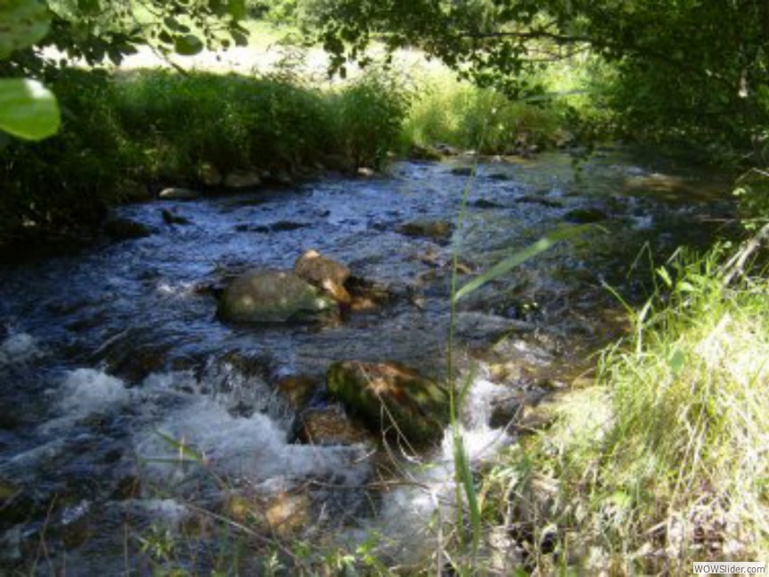 Le ruisseau
