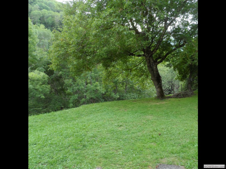 Côté jardin (Eté)