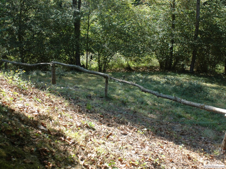 Le pré