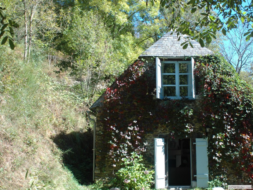 Côté jardin (Printemps)