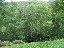 Côté jardin (Eté)